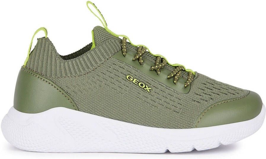 Geox Sneakers Baskets enfant Sprintye A