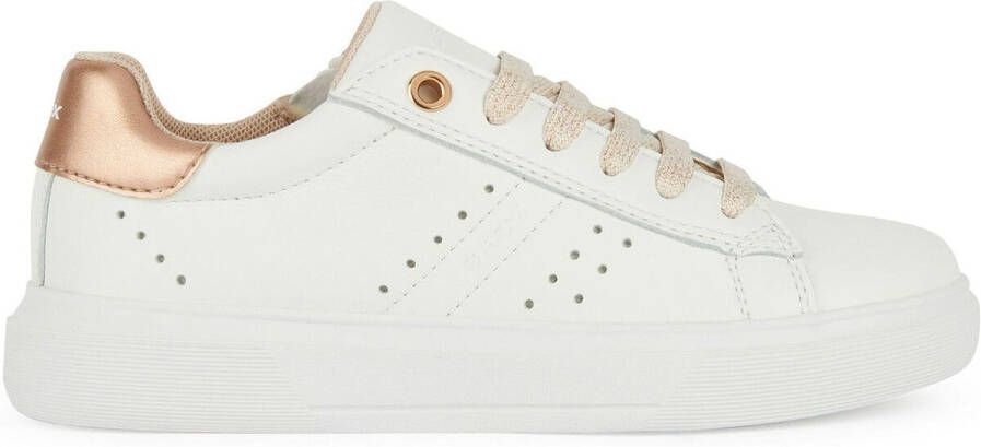 Geox Sneakers Baskets fille Nettuno - Foto 3