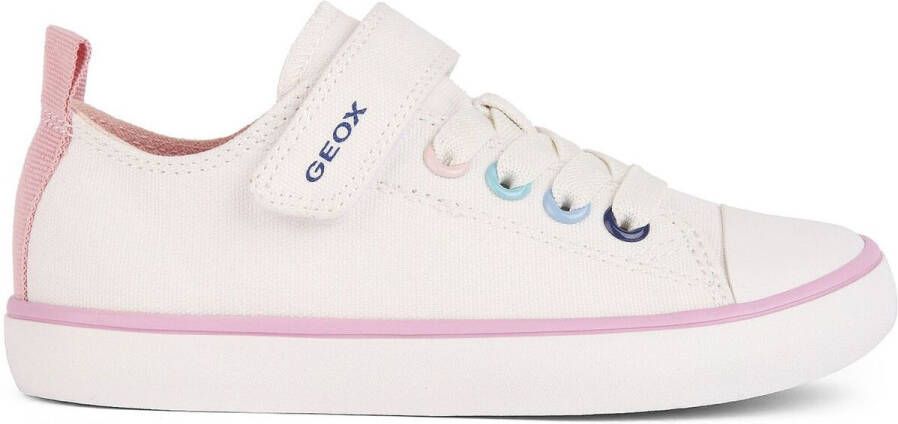 Geox Sneakers Baskets Gisli
