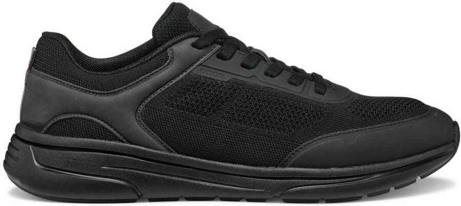 Geox Sneakers Baskets Klaiver