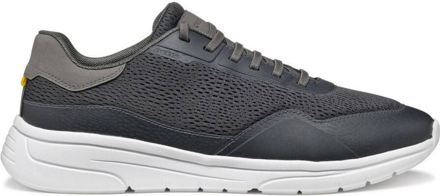 Geox Sneakers Baskets Klaiver A