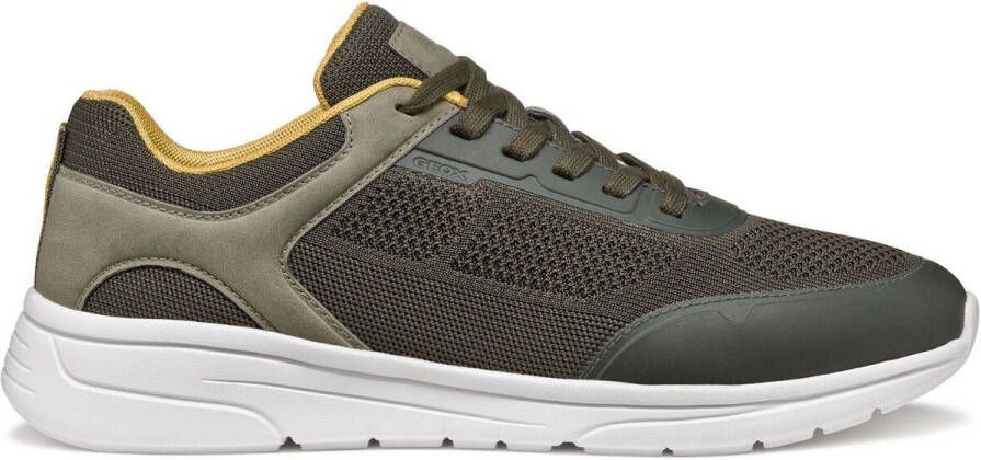 Geox Sneakers Baskets Klaiver B
