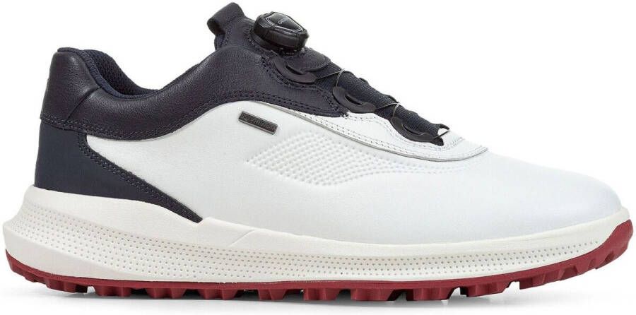 Geox Sneakers Baskets PG1X