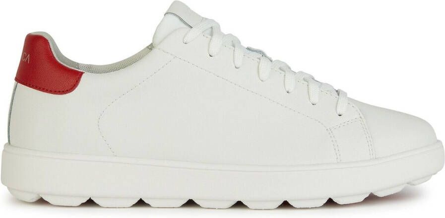 GEOX Spherica Ecub-1 Schoenen Wit Man