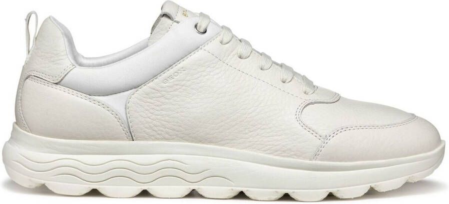 Geox Sneakers Baskets Spherica A