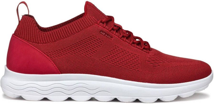 Geox Sneakers met vetersluiting model 'SPHERICA'
