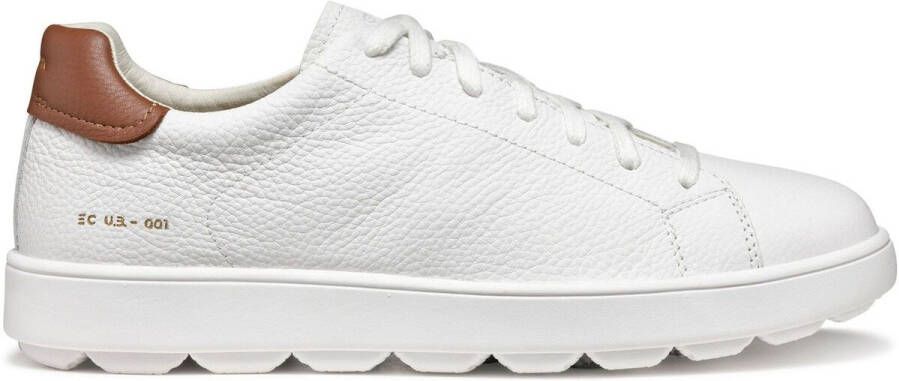 Geox Sneakers Baskets Spherica ECUB-1