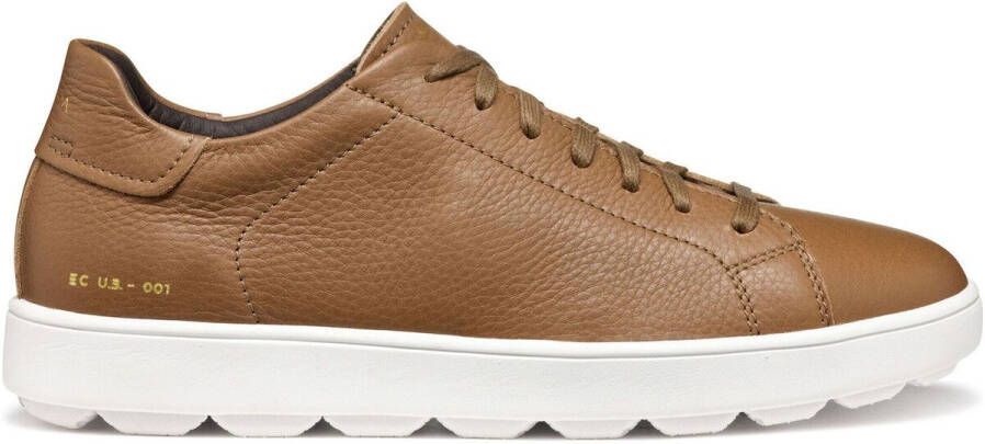 Geox Sneakers Baskets Spherica ECUB-1