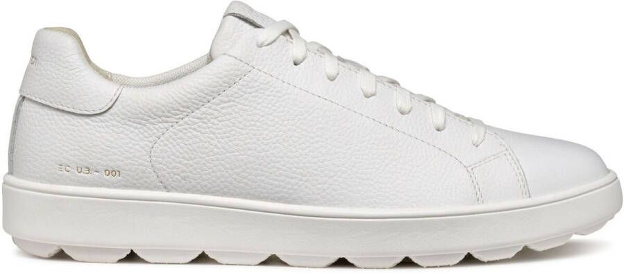 Geox Sneakers Baskets Spherica Ecub-1 C