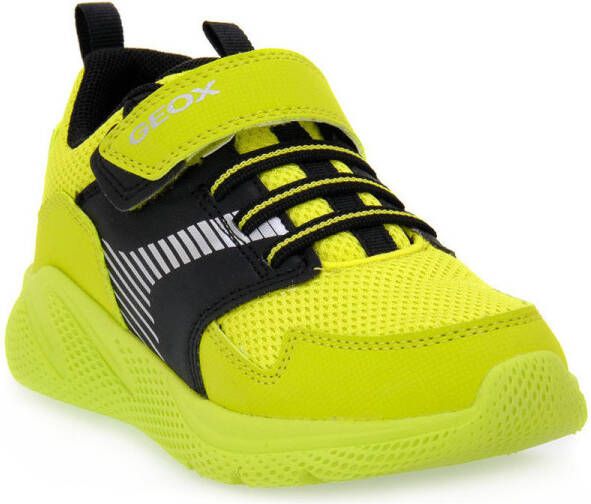 Geox Lage Sneakers C3707 SPRINTYE