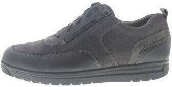 Gijs Wandelschoenen 2153