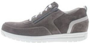 Gijs Sneakers 2079 H