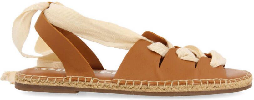 Gioseppo Ballerina's atibaia