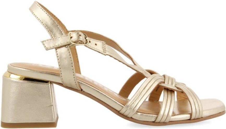 Gioseppo Pumps BULQIZE