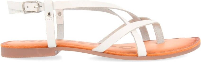 Gioseppo Sneakers F