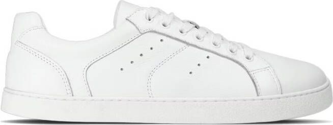 Groundies Sneakers Baskets Universe