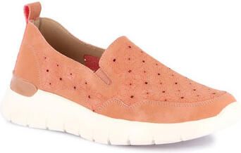 Grunland Instappers DSG-SC6187