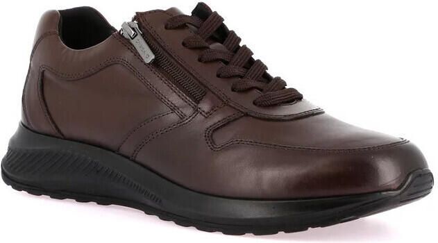 Grunland Lage Sneakers DSG-SC4633