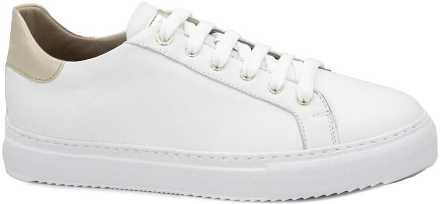 Grunland Lage Sneakers GRU-CCC-SC6249-BI