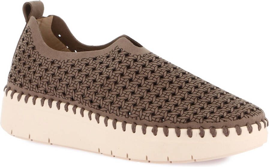 Grunland Klassieke Schoenen DSG-SC4370