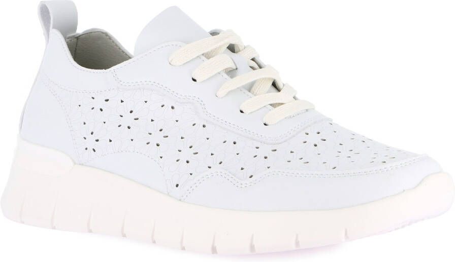 Grunland Lage Sneakers DSG-SC0196