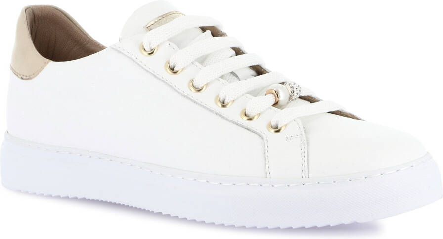 Grunland Lage Sneakers DSG-SC2161