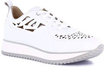 Grunland Lage Sneakers DSG-SC2164