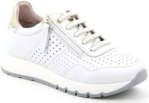 Grunland Lage Sneakers DSG-SC5476