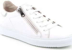 Grunland Lage Sneakers DSG-SC5529