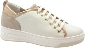 Grunland Lage Sneakers GRU-CCC-SC2819-BC