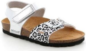 Grunland Sandalen DSG-SB0756