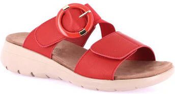 Grunland Slippers DSG-CI0885