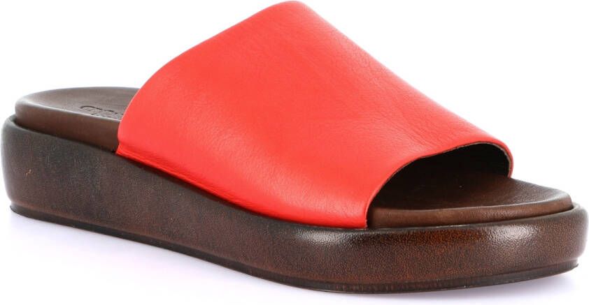 Grunland Slippers DSG-CI1898