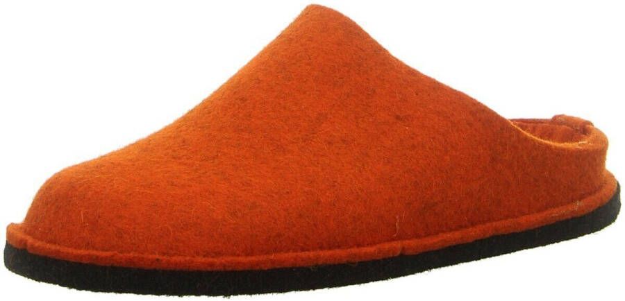 Haflinger Pantoffels