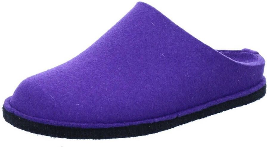 Haflinger Pantoffels