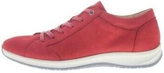 Hartjes Lage Sneakers SF SHOE
