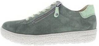 Hartjes Sneakers Phil Shoe