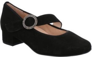 HASSIA Pumps