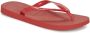 Havaianas Top Slippers Ruby Red - Thumbnail 2