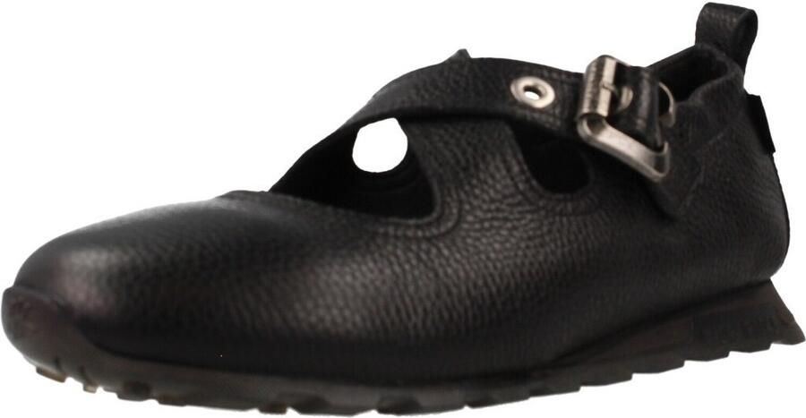 Hispanitas Ballerina's Hi265077 Zinnia