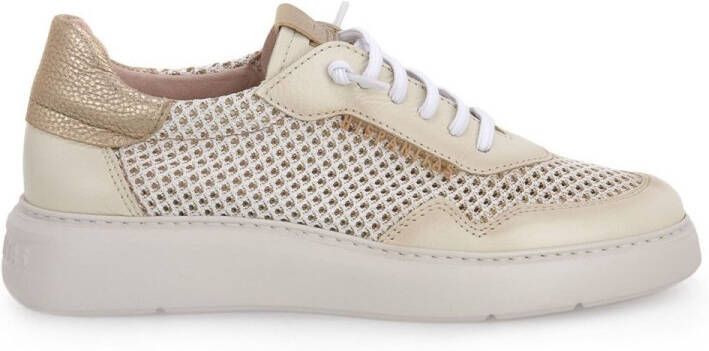 Hispanitas Lage Sneakers 243412