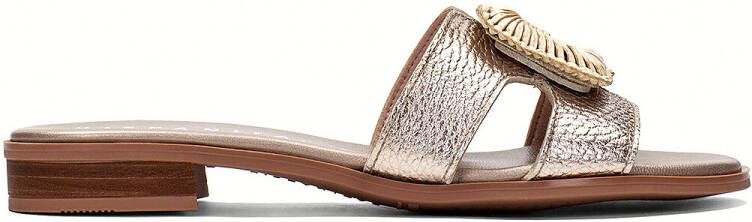Hispanitas Pumps damessandalen HV253881 Jakarta