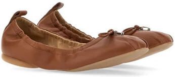 Hogan Ballerina's