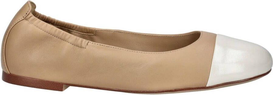 Högl Ballerina's Ballerina´s