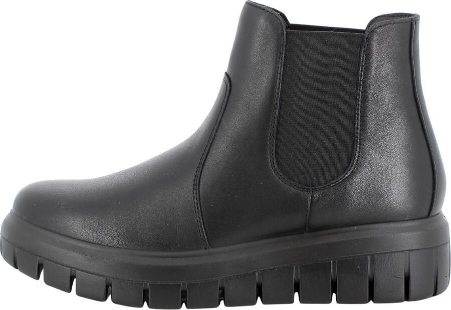 IGI&Co Enkellaarzen IgI&CO 2149000
