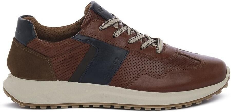 IGI&Co Lage Sneakers IgI&CO SARONNO COGNAC - Foto 2