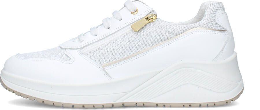 IGI&Co Lage Sneakers IgI&CO 1141600
