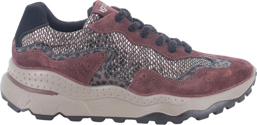 IGI&Co Lage Sneakers IgI&CO 2176133