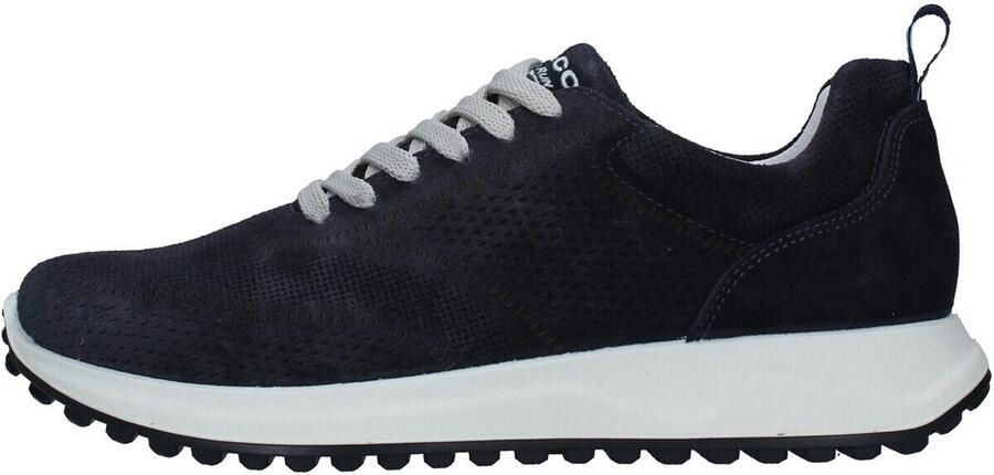 IGI&Co Lage Sneakers IgI&CO 3629011