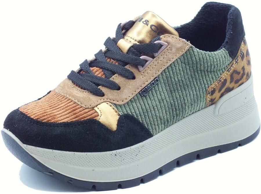 IGI&Co Lage Sneakers IgI&CO 8677600 Scam. Velluto